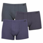 3PACK pánské boxerky Andrie vícebarevné (PS 5650)